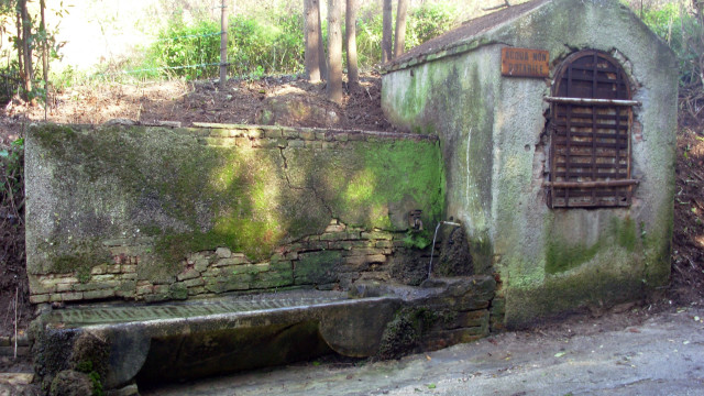 Il vicino di casa pulisce l’antica “Fonte delle Monache”