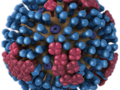 L’inverno bussa alla porta, e anche l’influenza