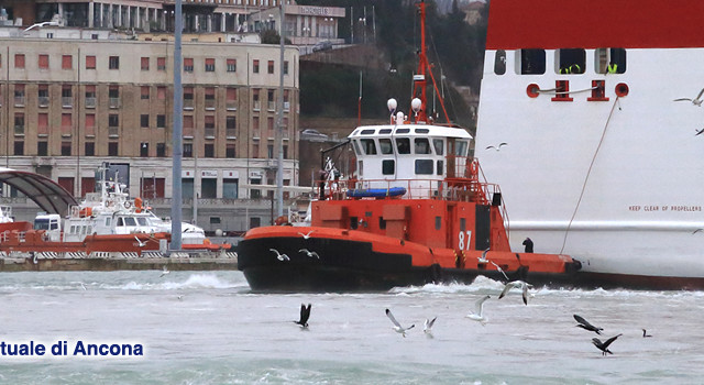 Ancona, primo sdoganamento in mare