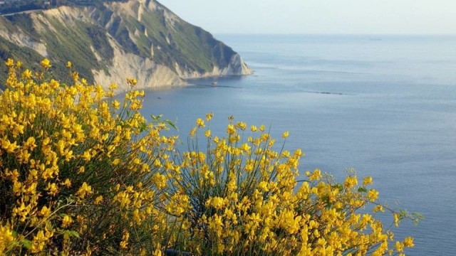 Cinque Parchi delle Marche in Festival