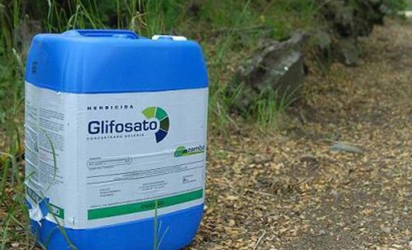 I rischi per la salute del glisofato, diserbante usato in agricoltura