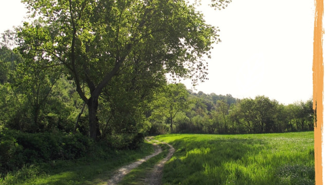 Valle Miano, il Conero ad Ancona