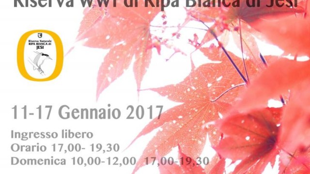 Marche e natura in mostra