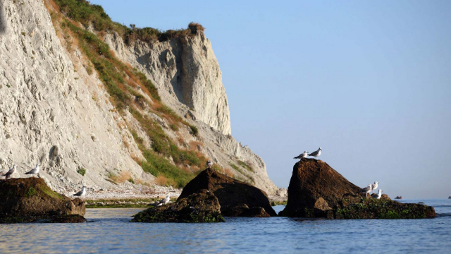 “Area Marina Conero purtroppo ancora ferma”