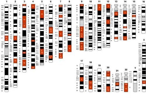 Il genoma umano e la cura del tumore e di gravi malattie genetiche